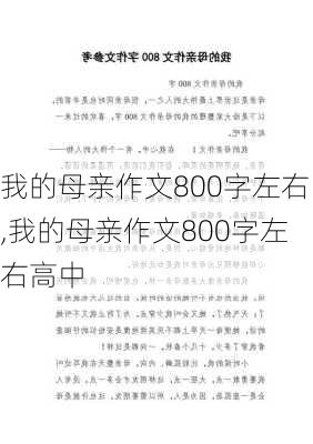 我的母亲作文800字左右,我的母亲作文800字左右高中