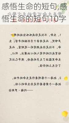 感悟生命的短句,感悟生命的短句10字