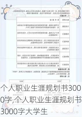 个人职业生涯规划书3000字,个人职业生涯规划书3000字大学生