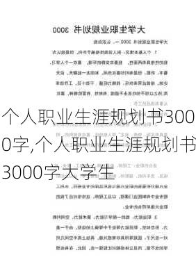 个人职业生涯规划书3000字,个人职业生涯规划书3000字大学生