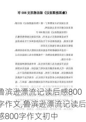 鲁滨逊漂流记读后感800字作文,鲁滨逊漂流记读后感800字作文初中