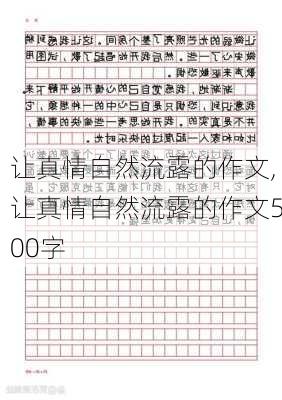 让真情自然流露的作文,让真情自然流露的作文500字