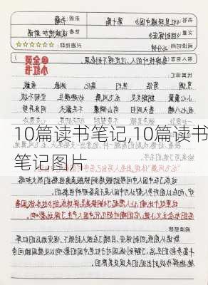 10篇读书笔记,10篇读书笔记图片