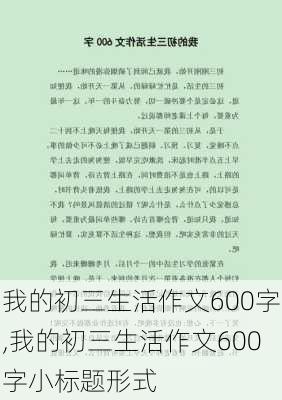 我的初三生活作文600字,我的初三生活作文600字小标题形式