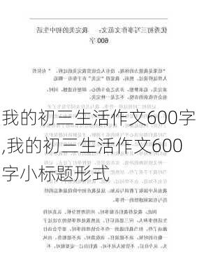 我的初三生活作文600字,我的初三生活作文600字小标题形式