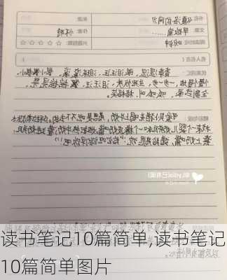 读书笔记10篇简单,读书笔记10篇简单图片