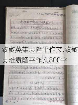 致敬英雄袁隆平作文,致敬英雄袁隆平作文800字