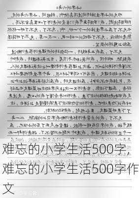 难忘的小学生活500字,难忘的小学生活500字作文