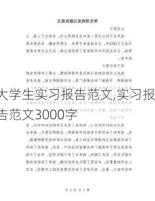 大学生实习报告范文,实习报告范文3000字