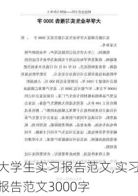 大学生实习报告范文,实习报告范文3000字