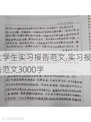 大学生实习报告范文,实习报告范文3000字