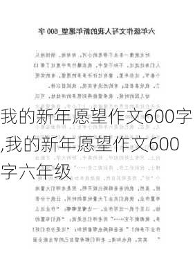 我的新年愿望作文600字,我的新年愿望作文600字六年级