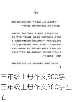 三年级上册作文300字,三年级上册作文300字左右