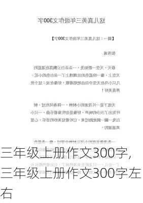 三年级上册作文300字,三年级上册作文300字左右