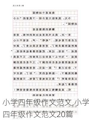 小学四年级作文范文,小学四年级作文范文20篇