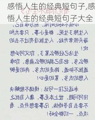 感悟人生的经典短句子,感悟人生的经典短句子大全