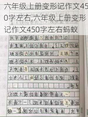 六年级上册变形记作文450字左右,六年级上册变形记作文450字左右蚂蚁