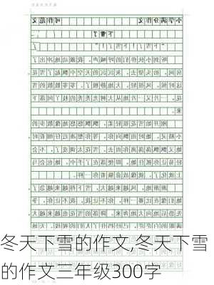 冬天下雪的作文,冬天下雪的作文三年级300字