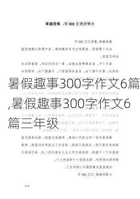 暑假趣事300字作文6篇,暑假趣事300字作文6篇三年级