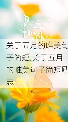 关于五月的唯美句子简短,关于五月的唯美句子简短励志