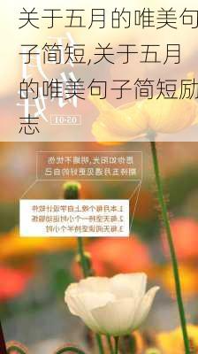 关于五月的唯美句子简短,关于五月的唯美句子简短励志