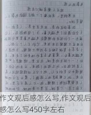 作文观后感怎么写,作文观后感怎么写450字左右