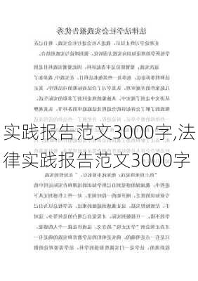 实践报告范文3000字,法律实践报告范文3000字