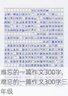 难忘的一篇作文300字,难忘的一篇作文300字三年级