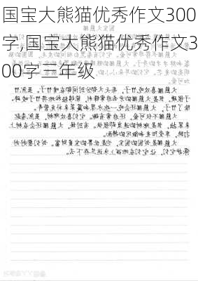 国宝大熊猫优秀作文300字,国宝大熊猫优秀作文300字三年级