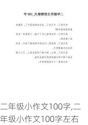 二年级小作文100字,二年级小作文100字左右