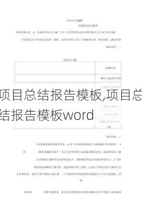 项目总结报告模板,项目总结报告模板word