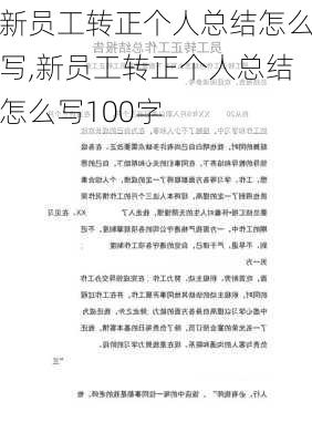 新员工转正个人总结怎么写,新员工转正个人总结怎么写100字