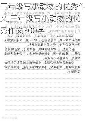 三年级写小动物的优秀作文,三年级写小动物的优秀作文300字