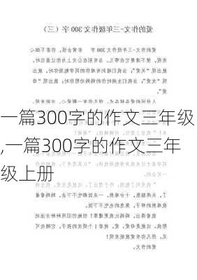 一篇300字的作文三年级,一篇300字的作文三年级上册