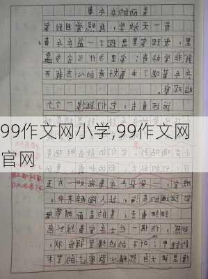 99作文网小学,99作文网官网