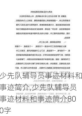 少先队辅导员事迹材料和事迹简介,少先队辅导员事迹材料和事迹简介800字