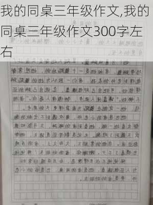 我的同桌三年级作文,我的同桌三年级作文300字左右