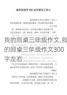 我的同桌三年级作文,我的同桌三年级作文300字左右