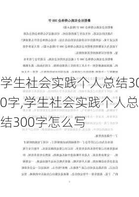 学生社会实践个人总结300字,学生社会实践个人总结300字怎么写