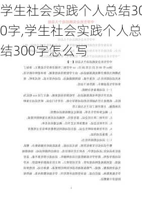 学生社会实践个人总结300字,学生社会实践个人总结300字怎么写