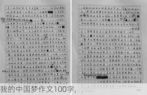 我的中国梦作文100字,