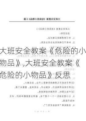 大班安全教案《危险的小物品》,大班安全教案《危险的小物品》反思