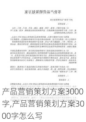 产品营销策划方案3000字,产品营销策划方案3000字怎么写