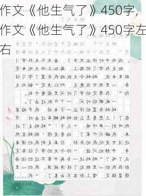 作文《他生气了》450字,作文《他生气了》450字左右