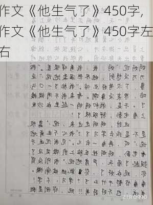 作文《他生气了》450字,作文《他生气了》450字左右