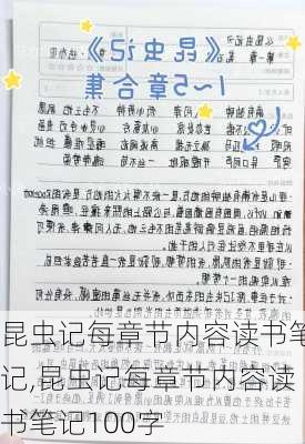 昆虫记每章节内容读书笔记,昆虫记每章节内容读书笔记100字