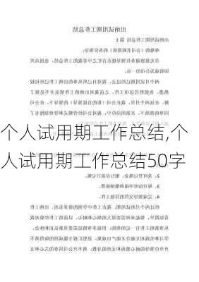 个人试用期工作总结,个人试用期工作总结50字