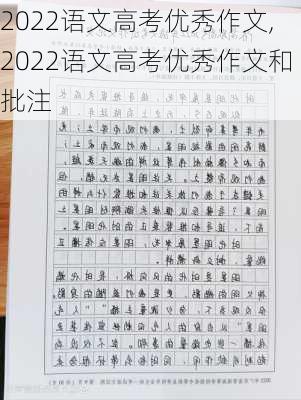 2022语文高考优秀作文,2022语文高考优秀作文和批注