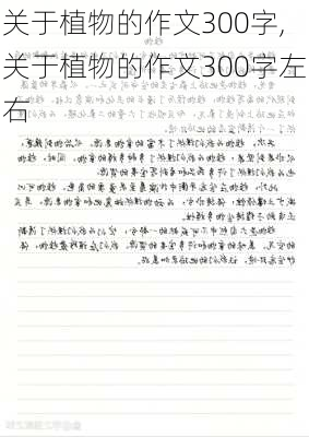 关于植物的作文300字,关于植物的作文300字左右