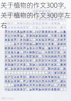 关于植物的作文300字,关于植物的作文300字左右